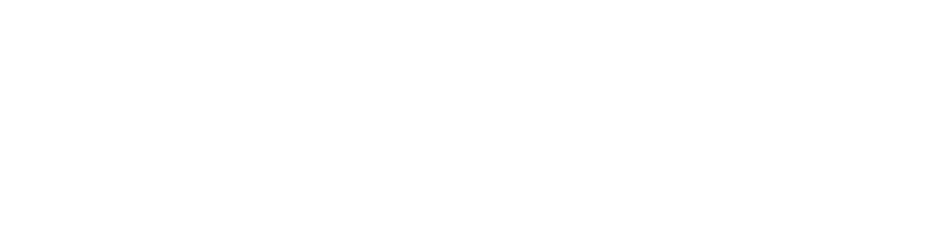 Latinus The IT Company